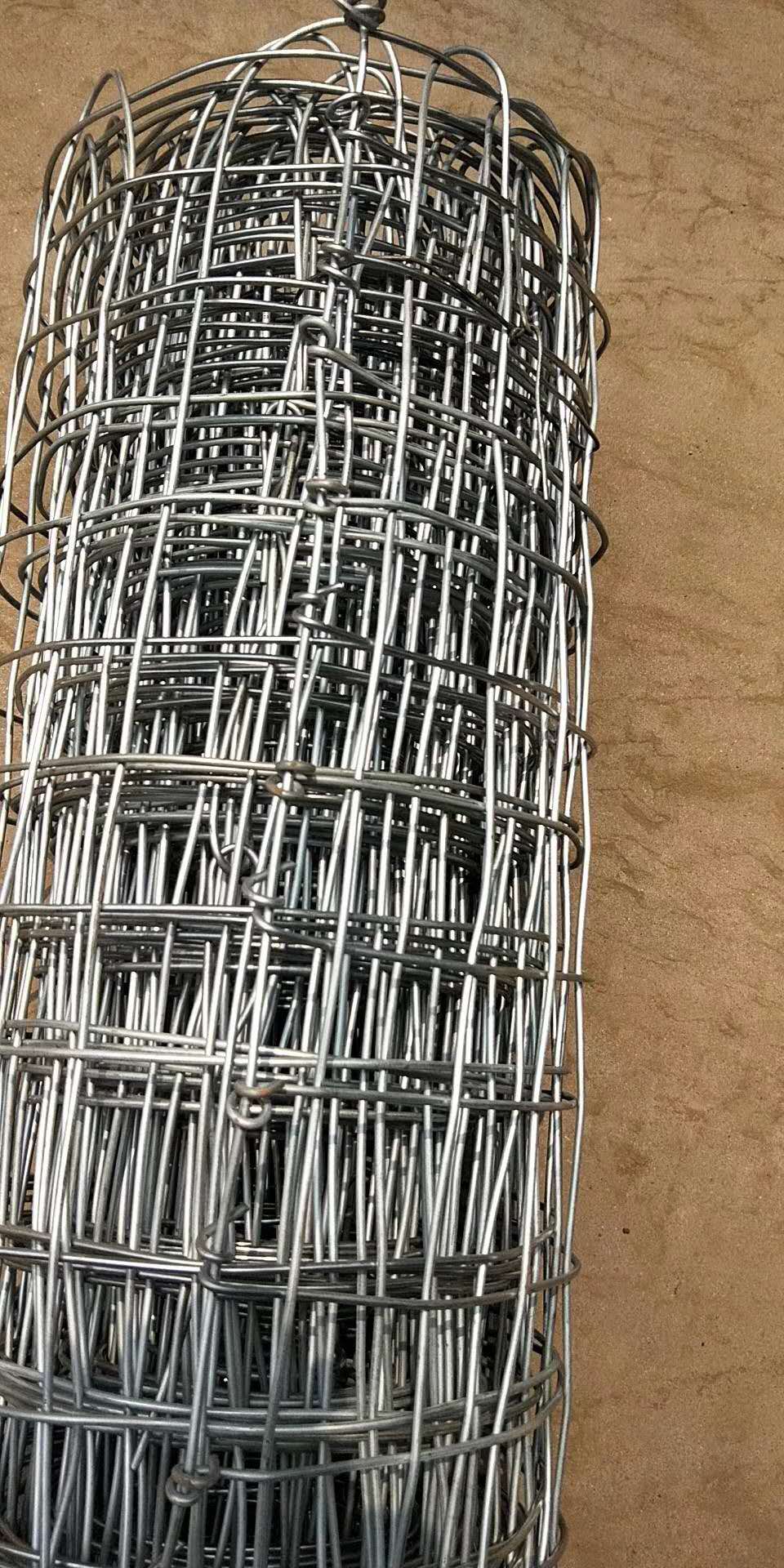 鍍鋅經緯網