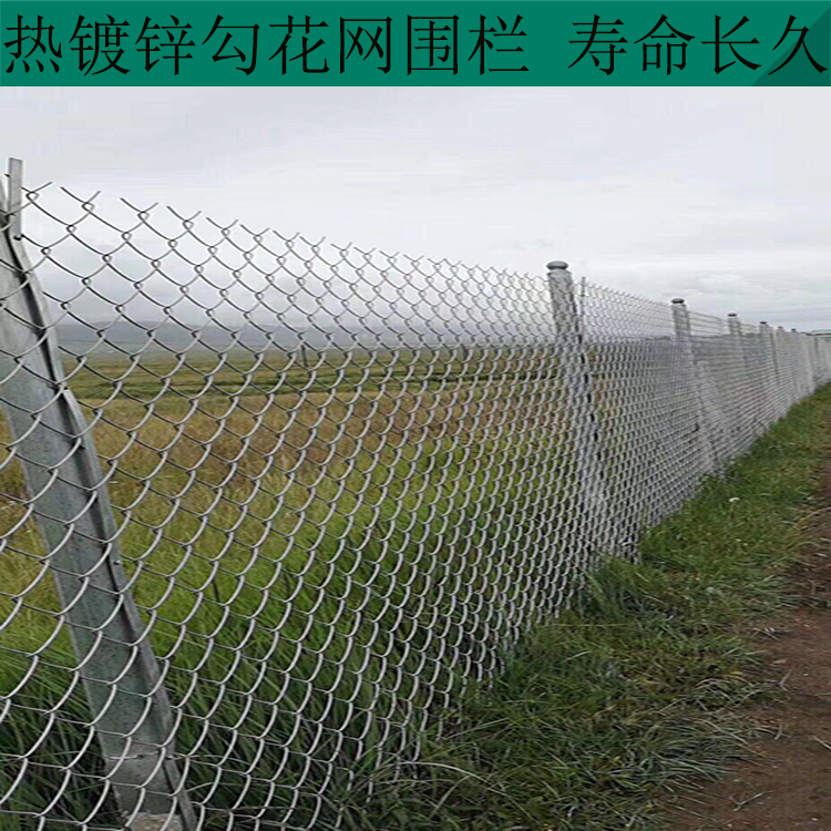 大同勾花網隔離網圖片2